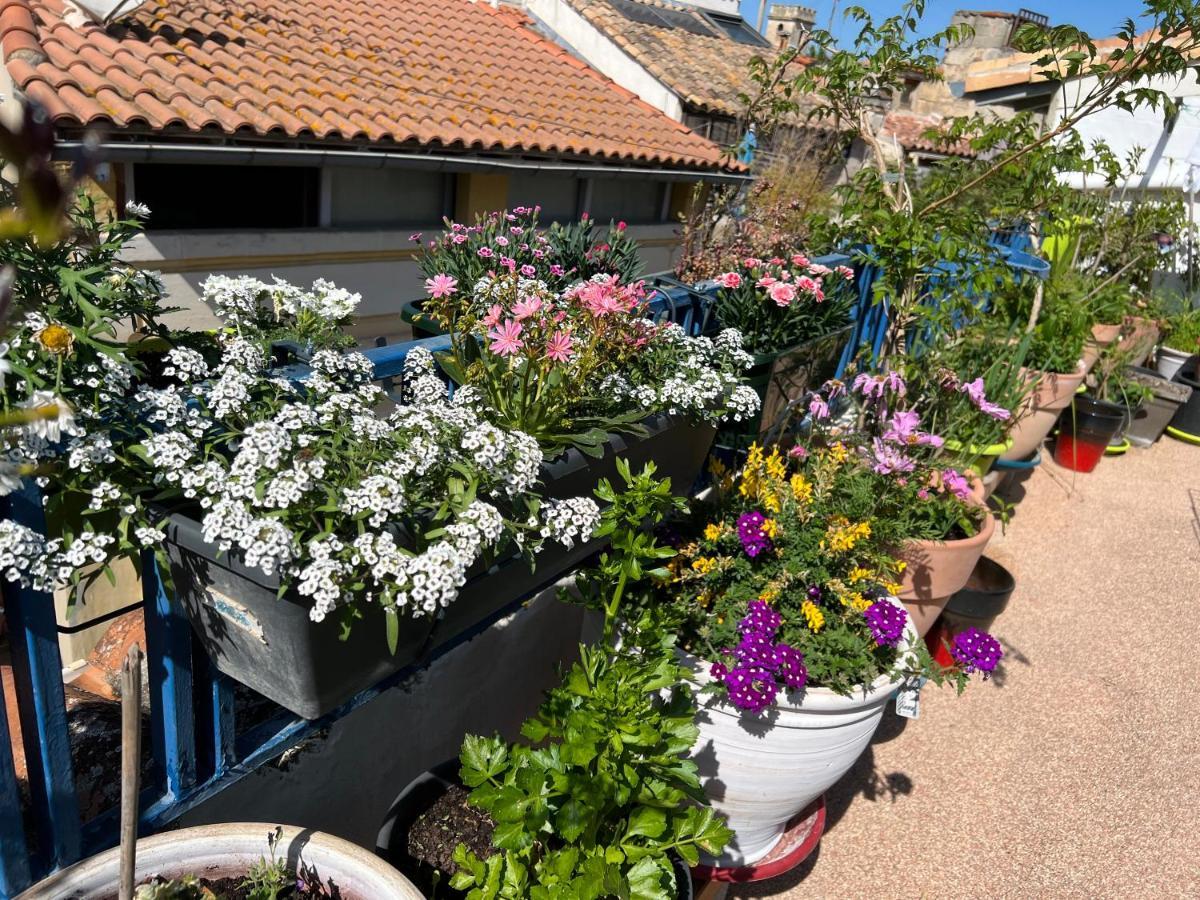 Loft Apartment , La Terrasse Centre Ville D'Arles, Exterior foto